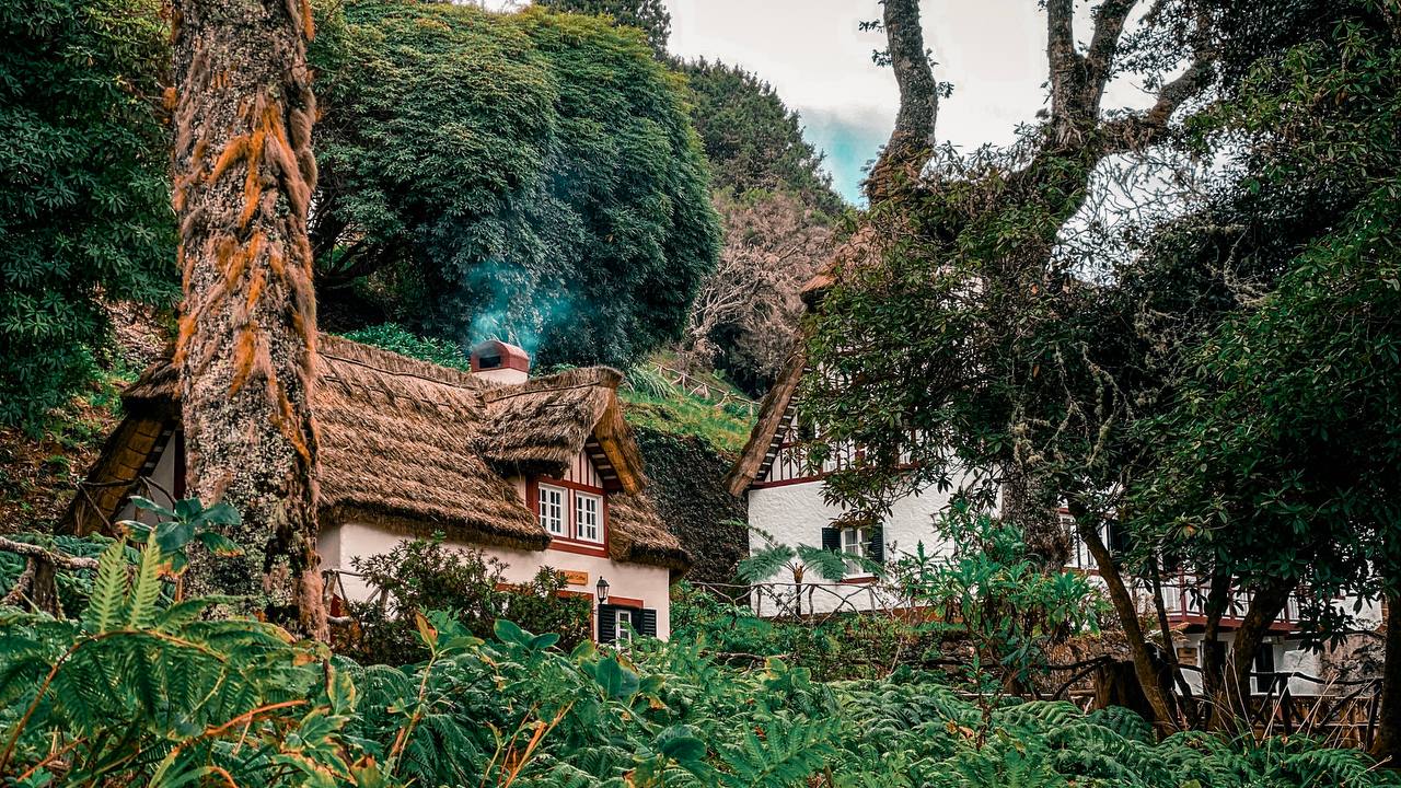 Фото кемпа 10